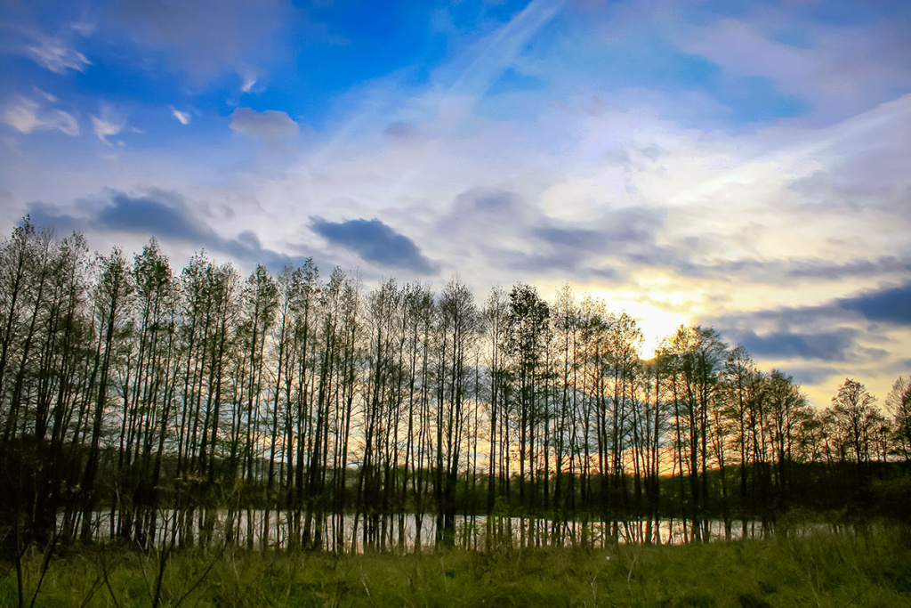 Apie saulę, vėją ir lietų. Pirma dalis