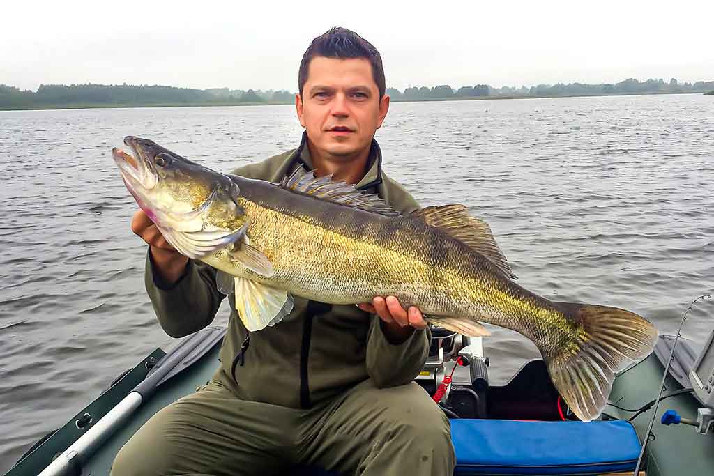 Ežerinio sterko paslaptis. Antra dalis