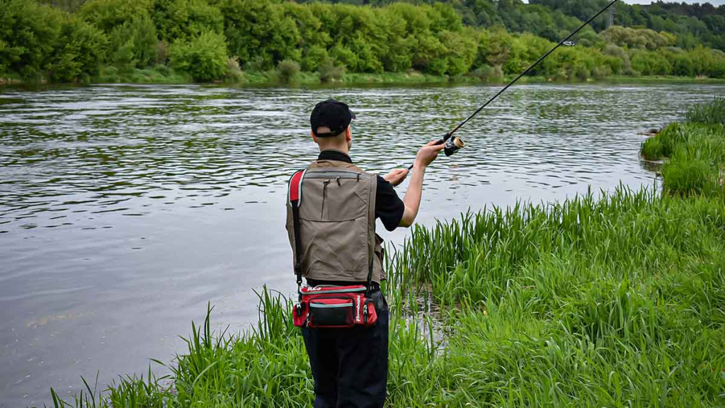 Švyst! Ir nuskrido... Trečia dalis Švyst! Ir nuskrido... Trečia dalis