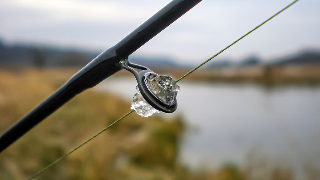 Spiningavimas naktį vėlyvą rudenį. Kuo skiriasi lydeka nuo sterko