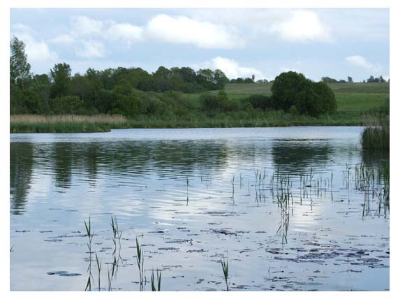 Kai vandens augalija gožią priekrantę, meškeriojimui galima pasitelkti dugninę su plūdria šėrykle Kai vandens augalija gožią priekrantę, meškeriojimui galima pasitelkti dugninę su plūdria šėrykle
