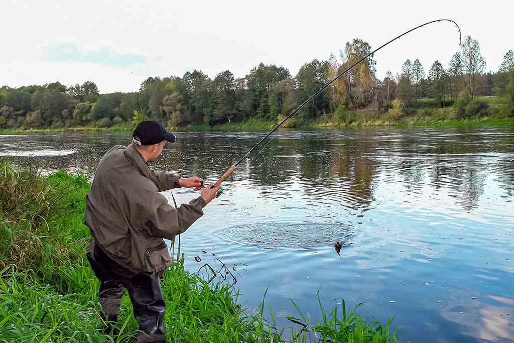 Geriau trumpas ar ilgas kotas? Antra dalis Geriau trumpas ar ilgas kotas? Antra dalis