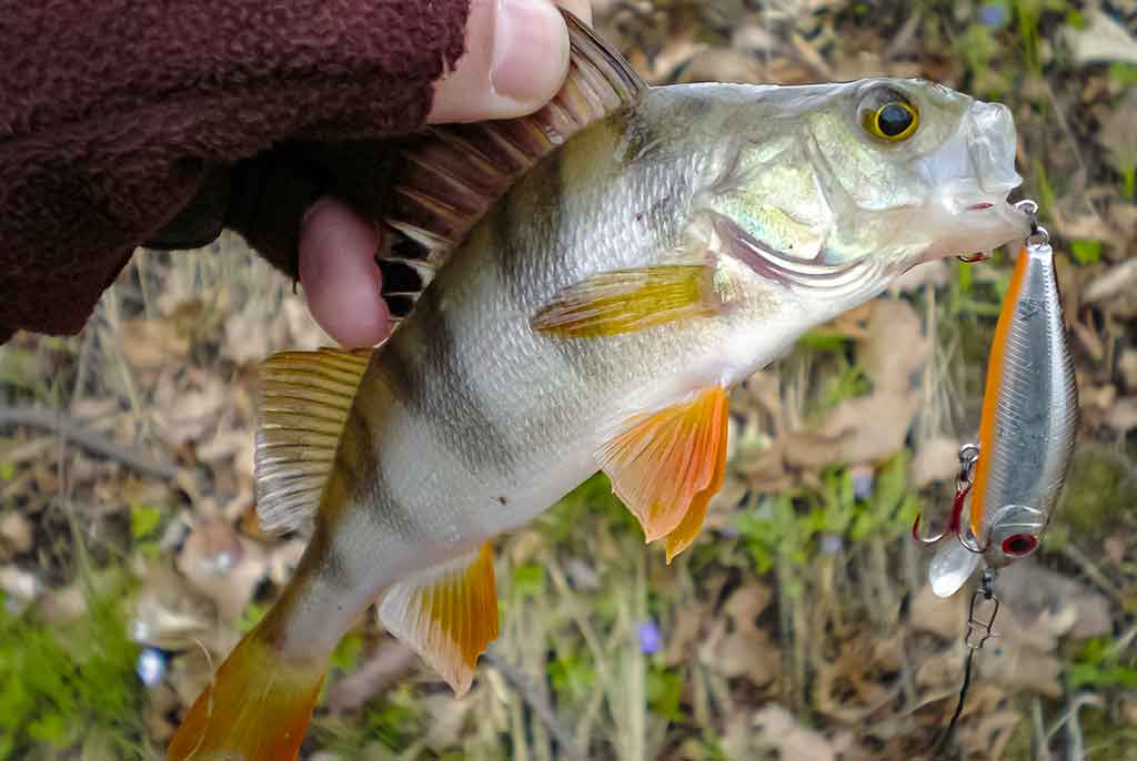 Apie (ne)sušalusias žvejo rankas. Antra dalis Apie (ne)sušalusias žvejo rankas. Antra dalis