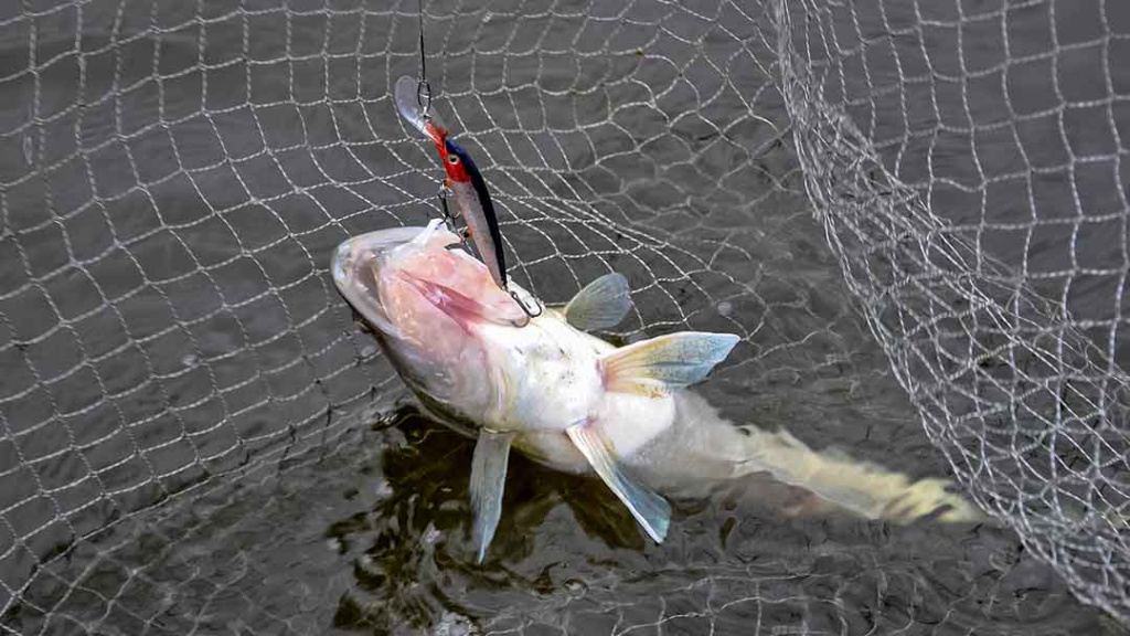 Velkiavimas. Prieš srovę, pasroviui...