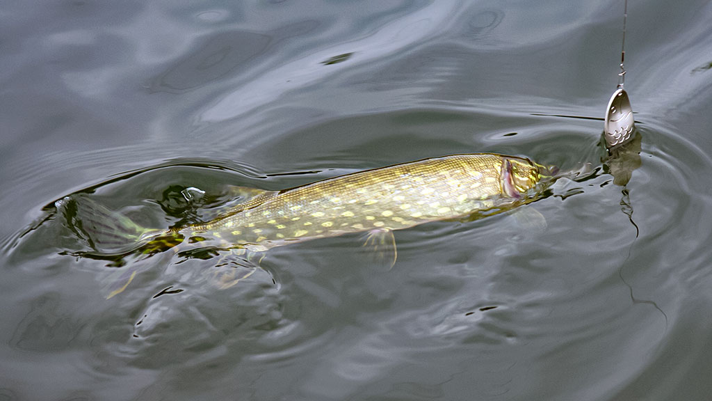 Klasika tapęs metalo gabalėlis. Pirma dalis Klasika tapęs metalo gabalėlis. Pirma dalis