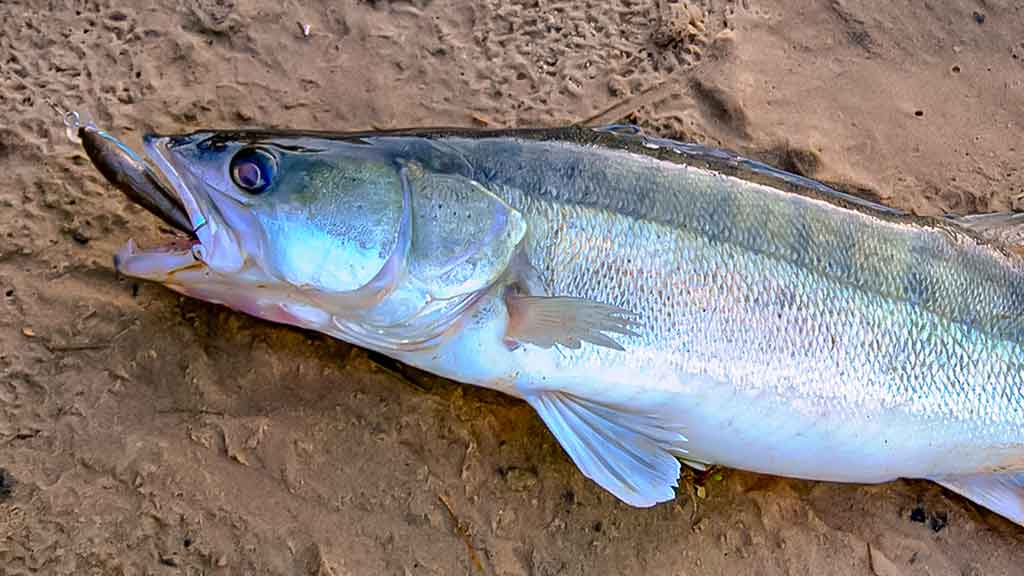 Išsamiai apie bridkelnes. Ketvirta dalis Išsamiai apie bridkelnes. Ketvirta dalis