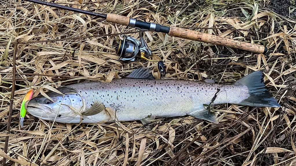 Kur, kaip ir kuo gaudome lašišas bei šlakius. III dalis