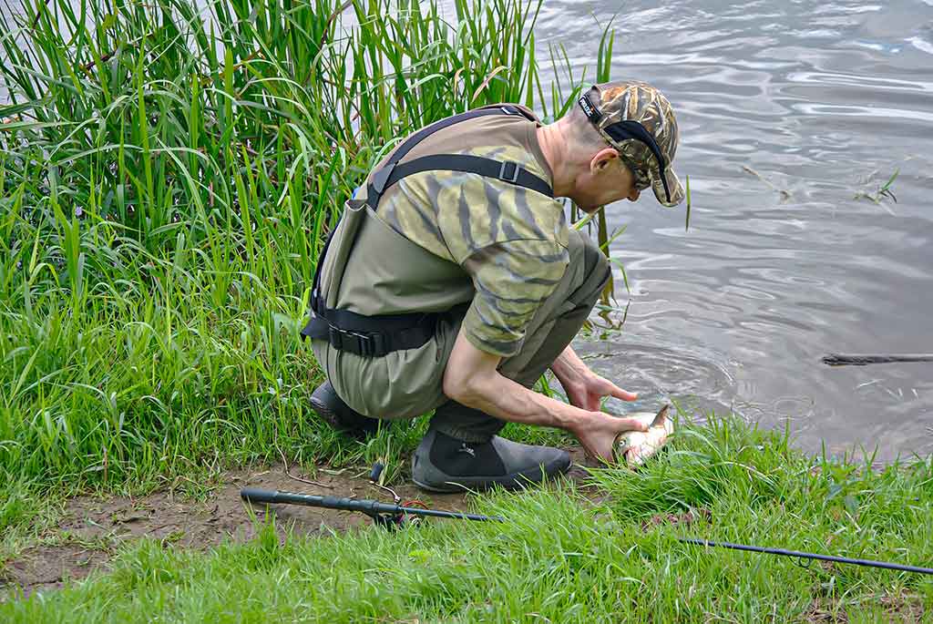 Supaisysi tuos salačius... Antra dalis