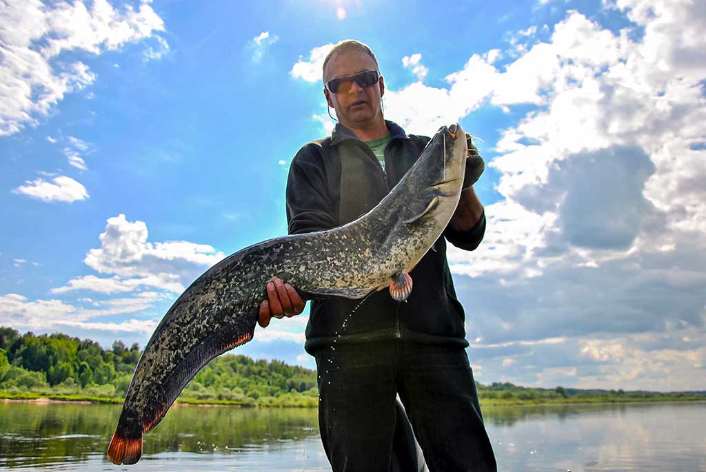 Tas sunkiai pagaunamas šamas. Pirma dalis Tas sunkiai pagaunamas šamas. Pirma dalis