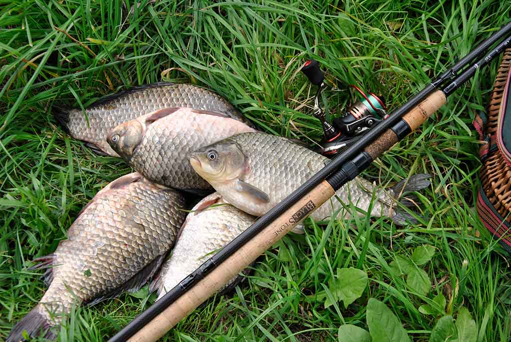 Nuo A iki Z apie monofilamentinį valą. Ketvirta dalis