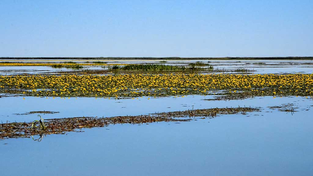 apie žūklę Ilio upės deltoje apie žūklę Ilio upės deltoje