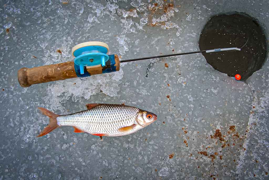 Didelė mažų svarelių reikšmė. Ketvirta dalis Didelė mažų svarelių reikšmė. Ketvirta dalis