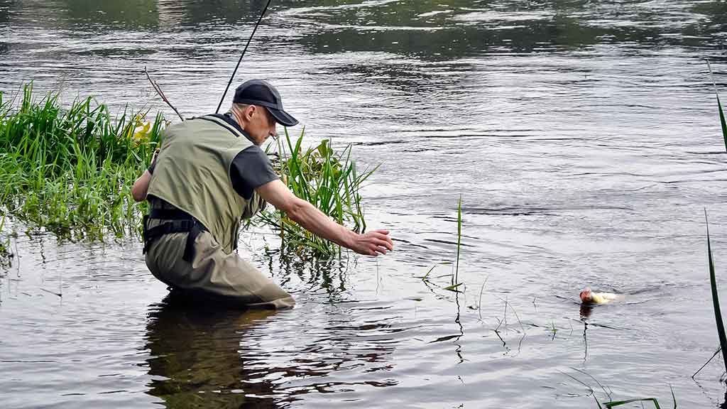 Džigavimas grobuonių akimis