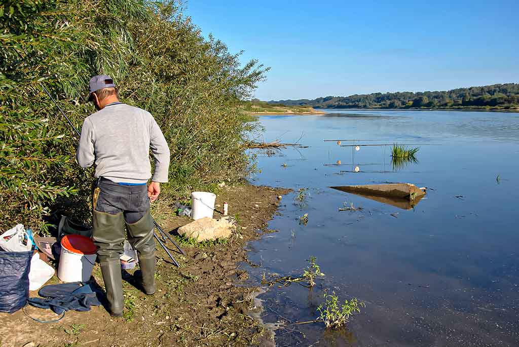 Kaip pagauti karšį? Kaip pagauti karšį?