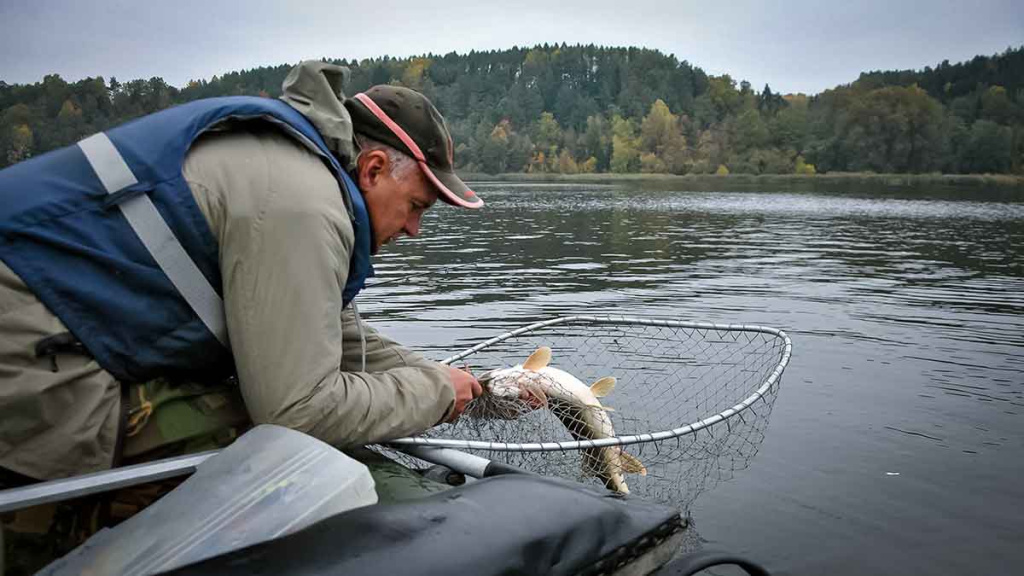 Ta gerai pažįstama mįslinga lydeka. Pirma dalis Ta gerai pažįstama mįslinga lydeka. Pirma dalis