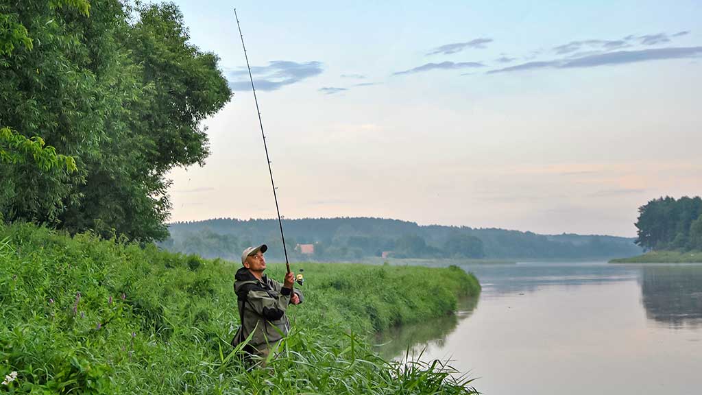 Nemuno kilpomis nuo Alytaus iki Prienų Nemuno kilpomis nuo Alytaus iki Prienų