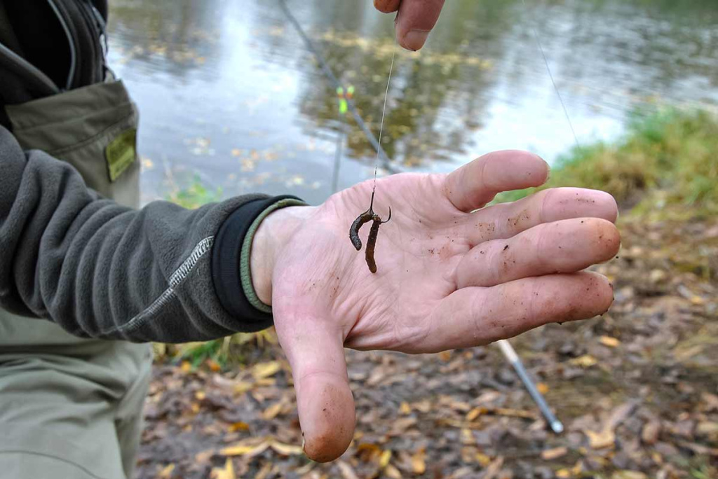 Kaip pagauti prisnūdusį Nevėžio ešerį Kaip pagauti prisnūdusį Nevėžio ešerį