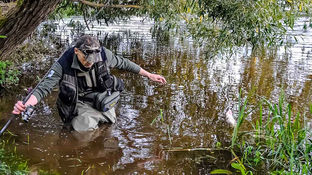 Kodėl spiningaujama įsibridus