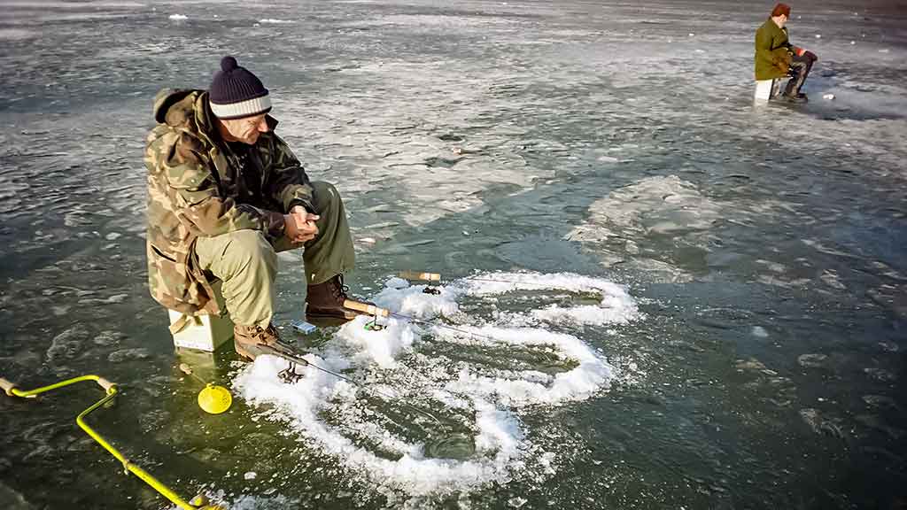 Šiek tiek kitaip apie karšių jaukinimą