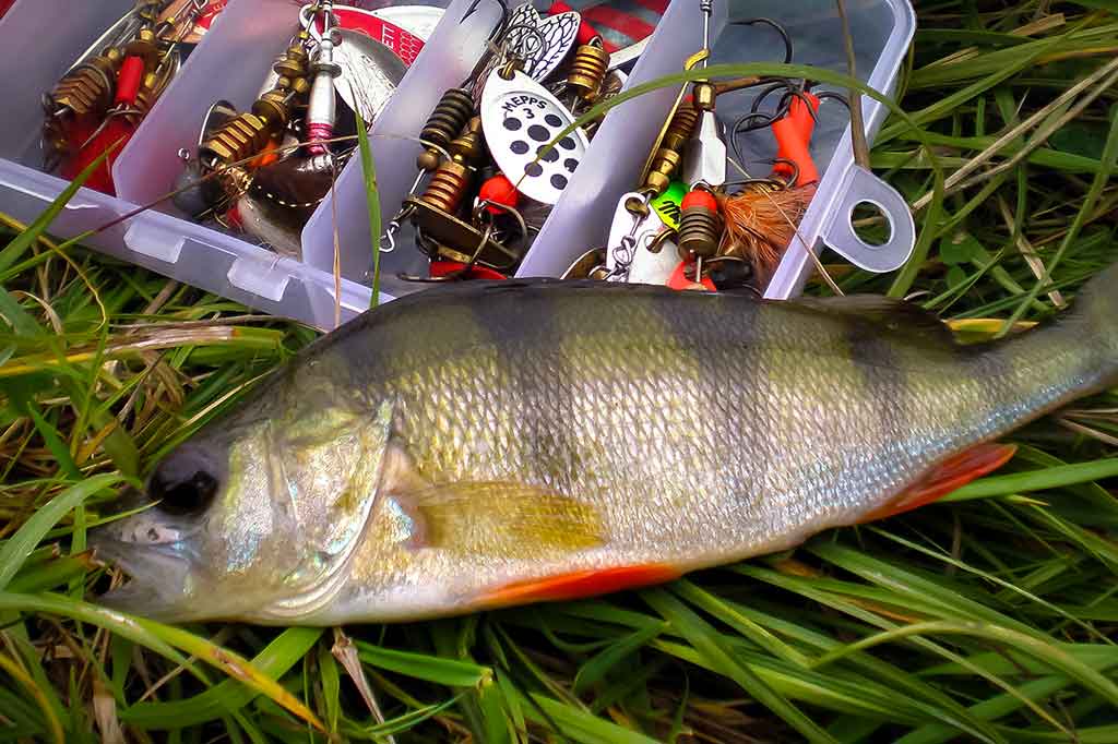 Pradžiamokslis norintiems žvejoti klasikinėmis sukriukėmis