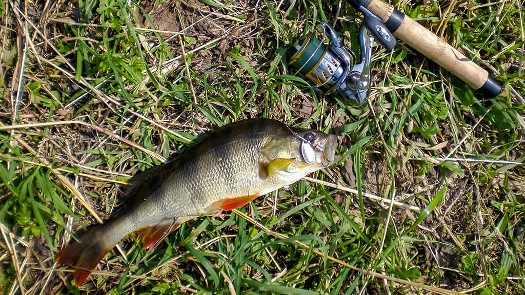 Mepps – tai žvejybinė klasika Mepps – tai žvejybinė klasika