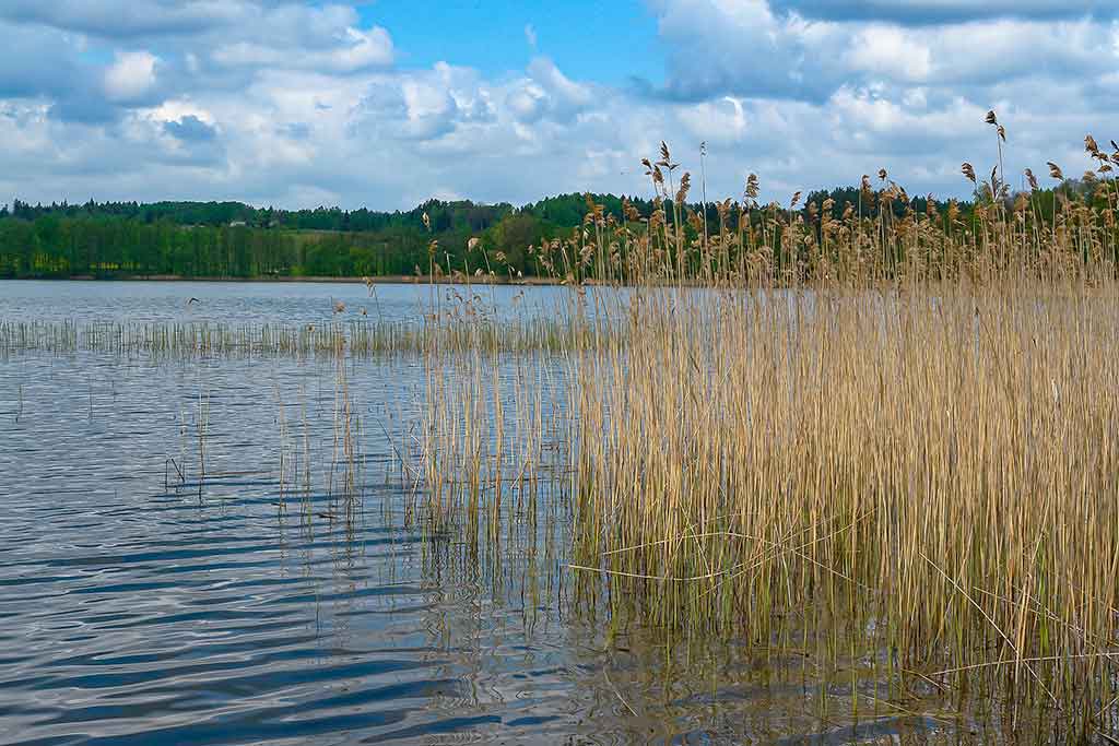 Karpių gaudymo vingrybės. Apie vandens telkinius ir temperatūrą Karpių gaudymo vingrybės. Apie vandens telkinius ir temperatūrą