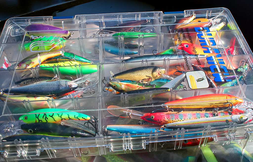 Balza, plastikas, abachi ir didelės lydekos. Pirma dalis Balza, plastikas, abachi ir didelės lydekos. Pirma dalis