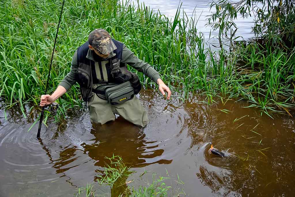 Švyst! Ir nuskrido... Pirma dalis Švyst! Ir nuskrido... Pirma dalis