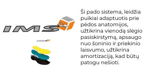 IMS2