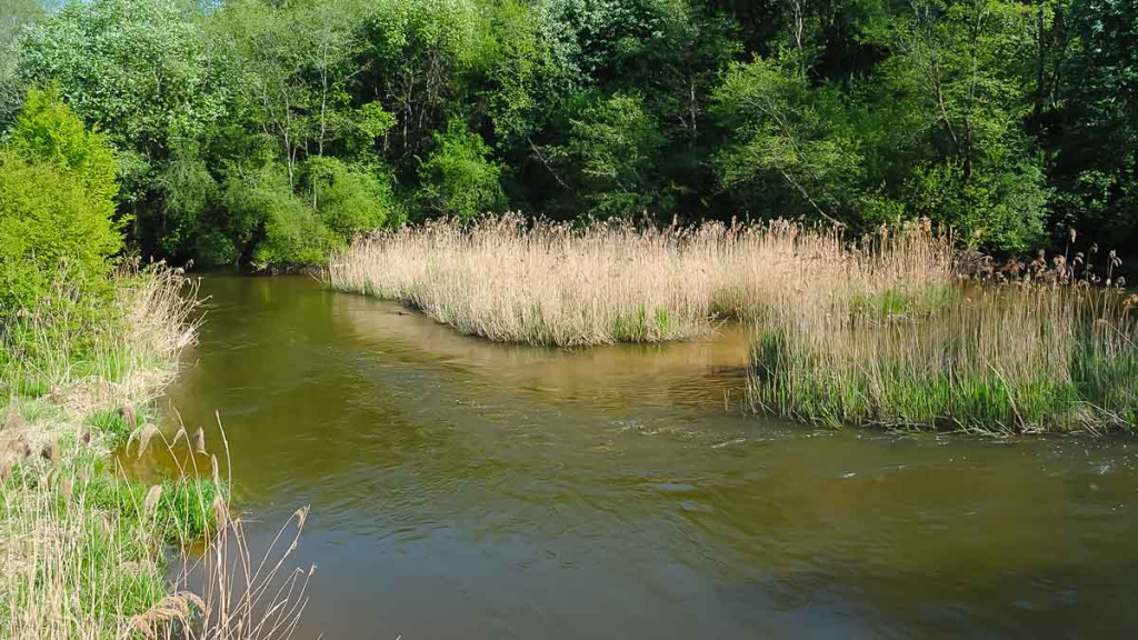 Šapalų žūklė, kai ateina gegužis. Pirma dalis