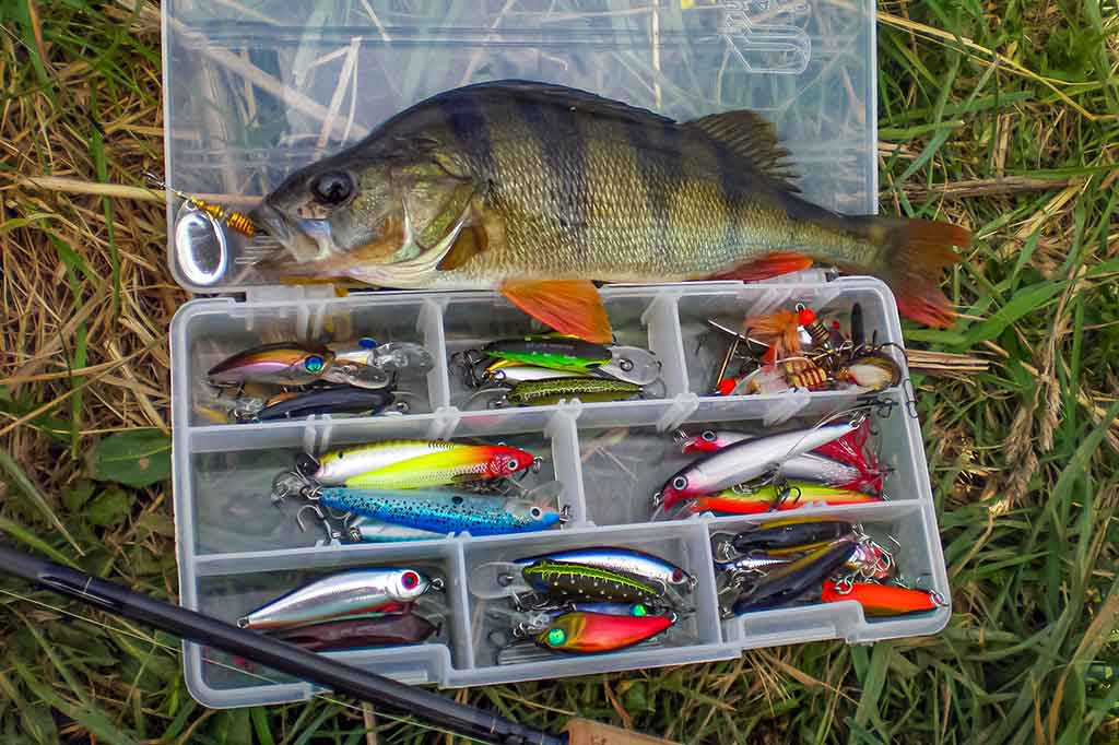 Labai maži ir labai plėšrūs