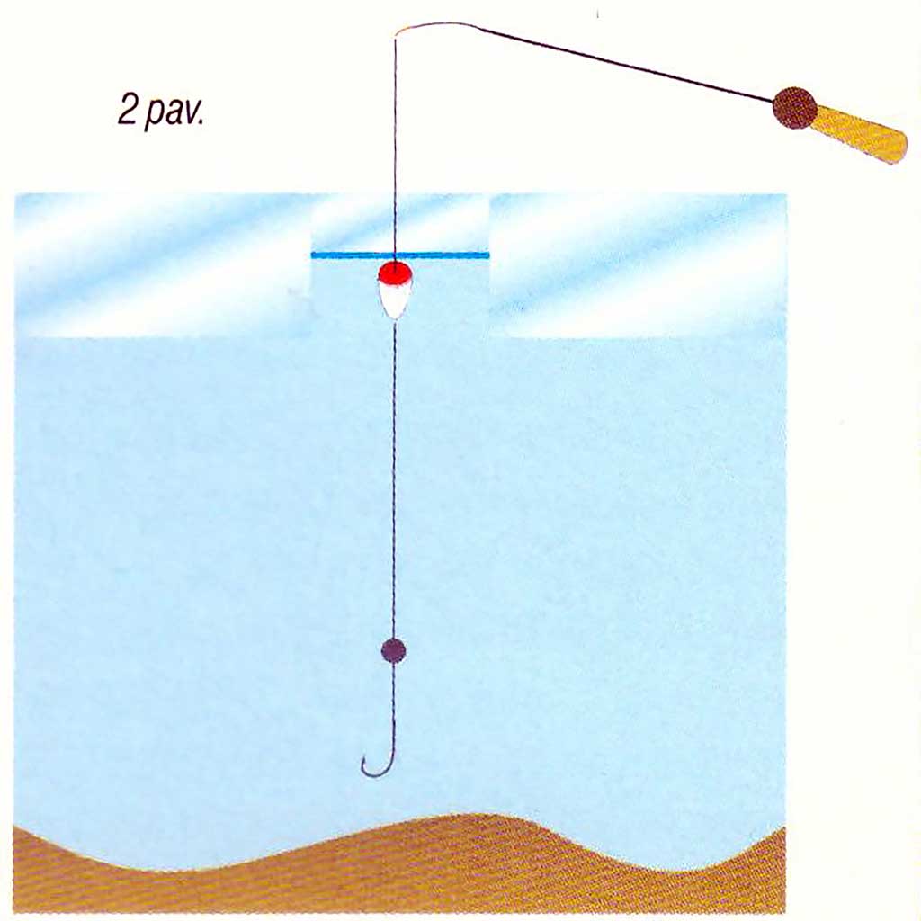 Kaip pagauti kuoją? Kaip pagauti kuoją?