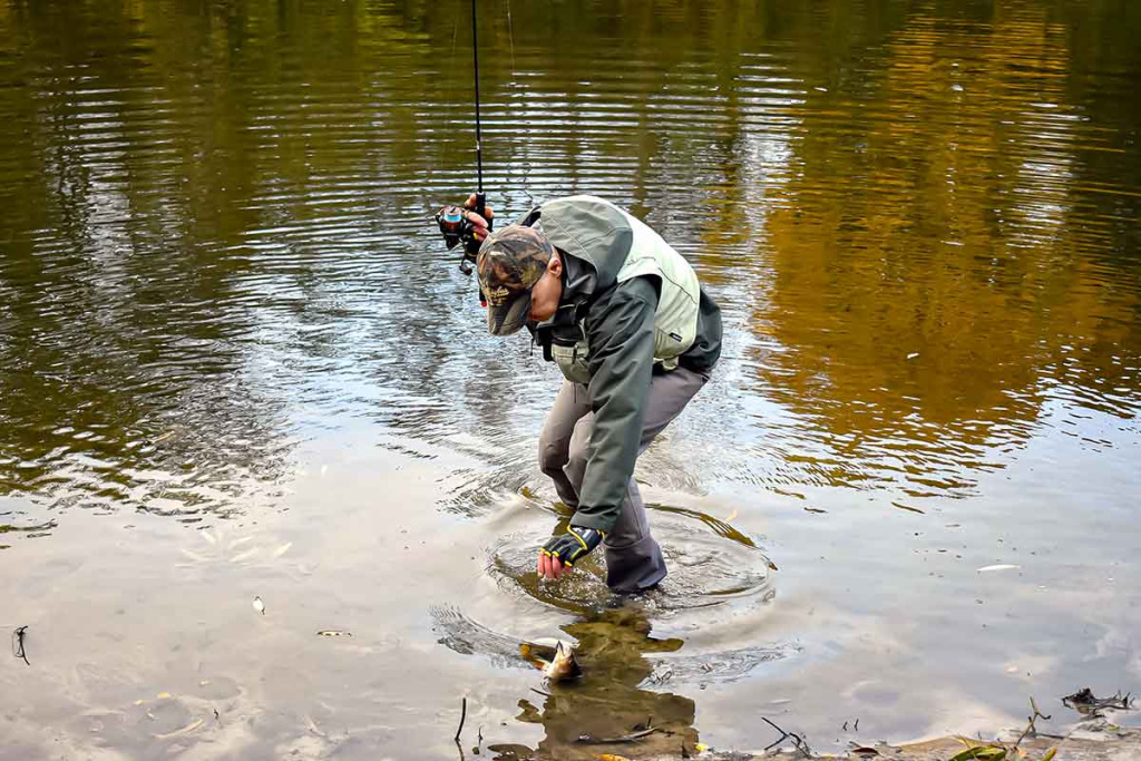 Paprastą spalio dieną prie Nevėžio. Antra dalis Paprastą spalio dieną prie Nevėžio. Antra dalis