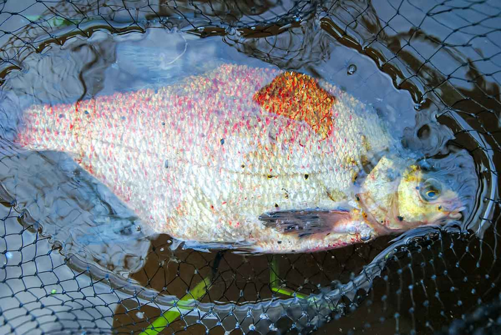 Apie saulę, vėją ir lietų. Antra dalis