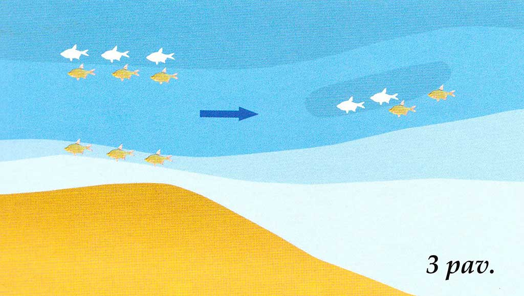 Didžiųjų upių plakiai. Antra dalis