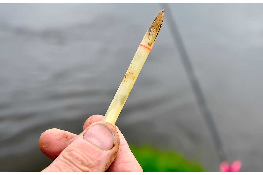 Kaip ant kabliuko užmauti uodo trūklio lervas Kaip ant kabliuko užmauti uodo trūklio lervas