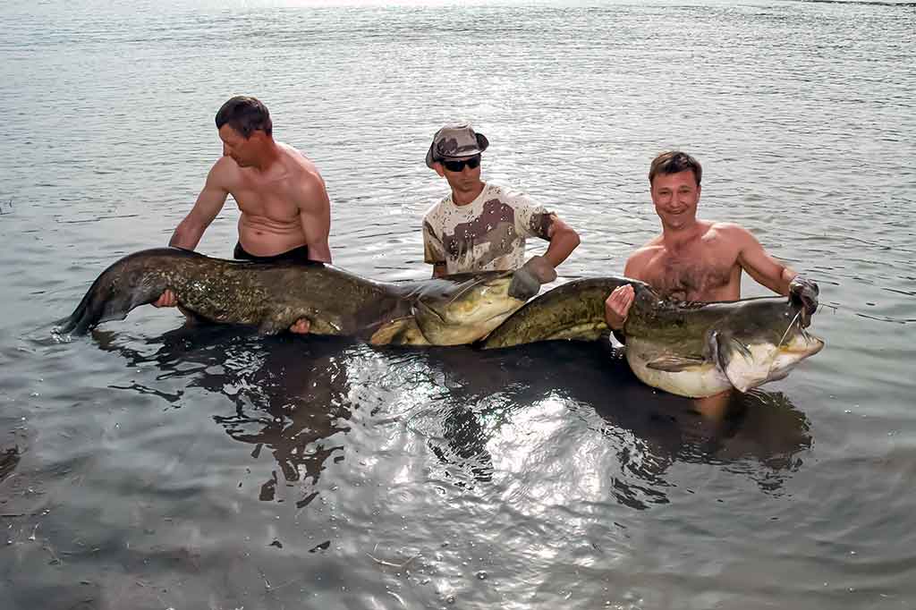 Lūžęs meškerykotis – gamintojo ar žvejo kaltė? Lūžęs meškerykotis – gamintojo ar žvejo kaltė?