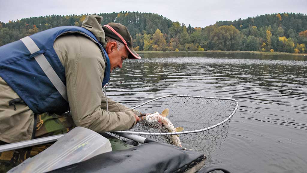 Ruduo, velkė ir minnow vobleriai. Trečia dalis