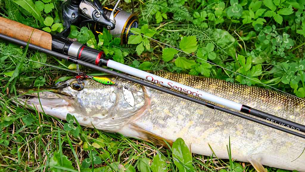 Kaip sukriukę nusviesti iki kito kranto. Antra dalis Kaip sukriukę nusviesti iki kito kranto. Antra dalis