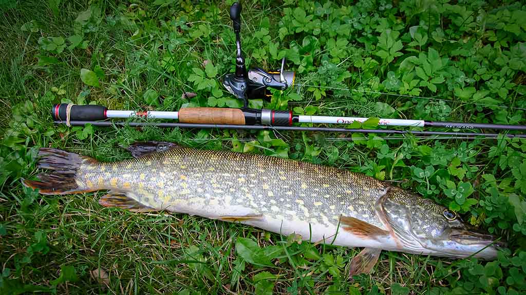 Dideli mažų upių siurprizai Dideli mažų upių siurprizai