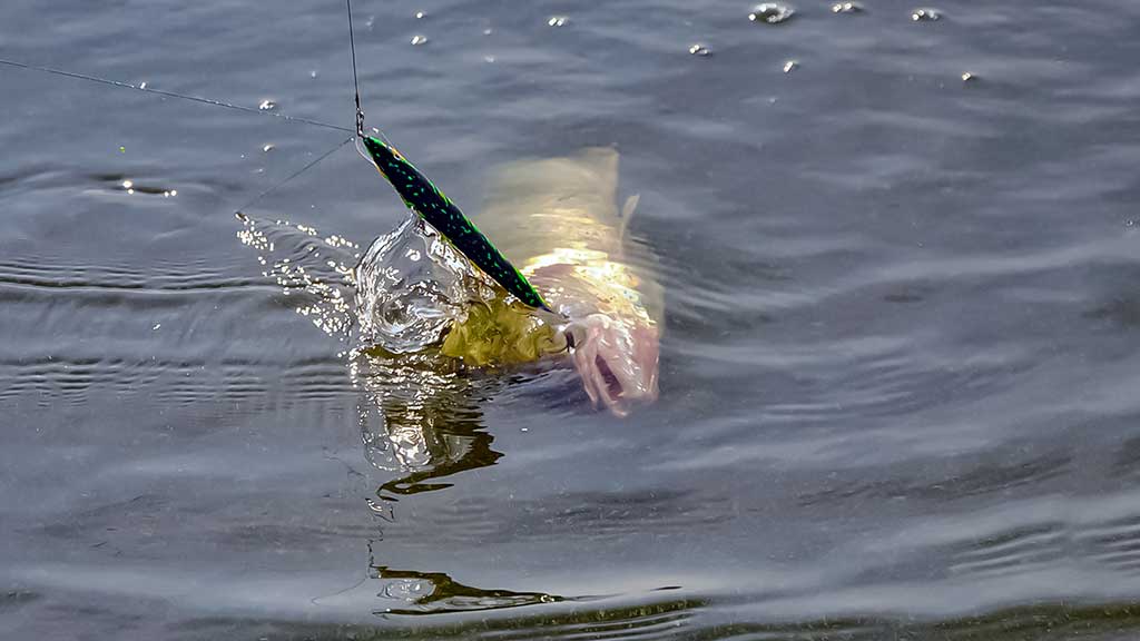 Kuomet sterkai pakyla. Antra dalis