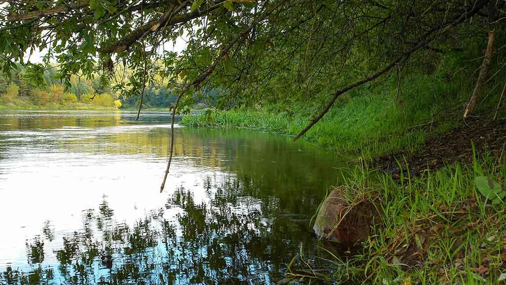 Paskutinės katino dienos Paskutinės katino dienos
