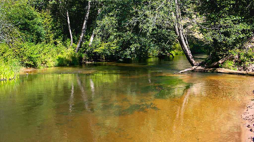 Tarp spiningo ir muselinės. Antra dalis Tarp spiningo ir muselinės. Antra dalis