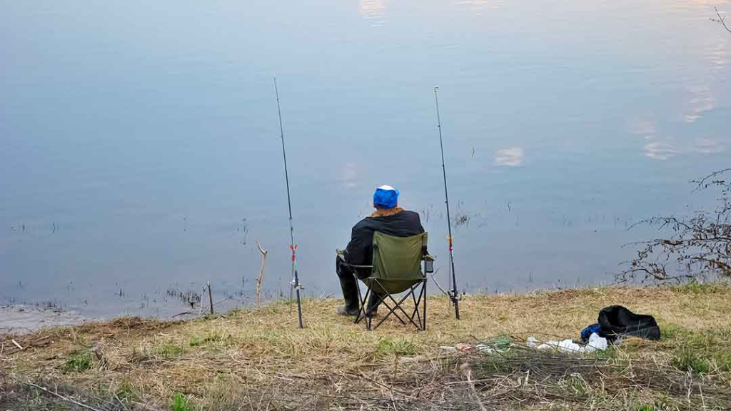Žiobrius – dugnine. Svarbūs, bet mažiau pastebimi niuansai Žiobrius – dugnine. Svarbūs, bet mažiau pastebimi niuansai