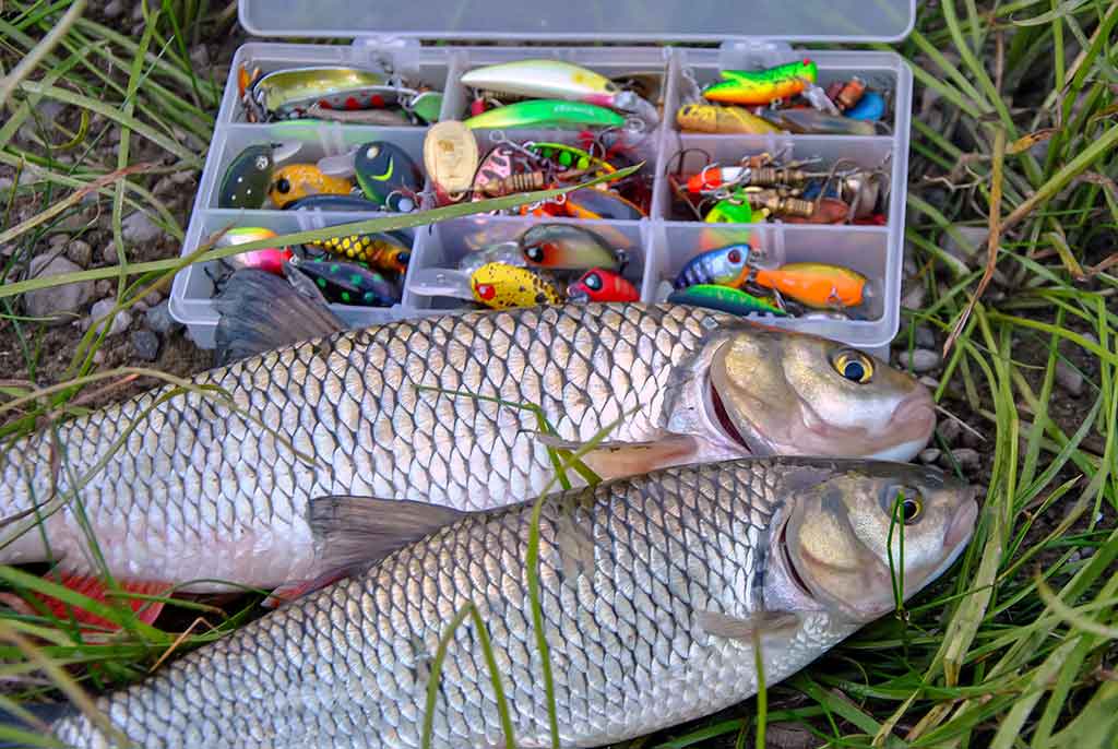 Tiny – kryptis į srovės širdį. Antra dalis Tiny – kryptis į srovės širdį. Antra dalis