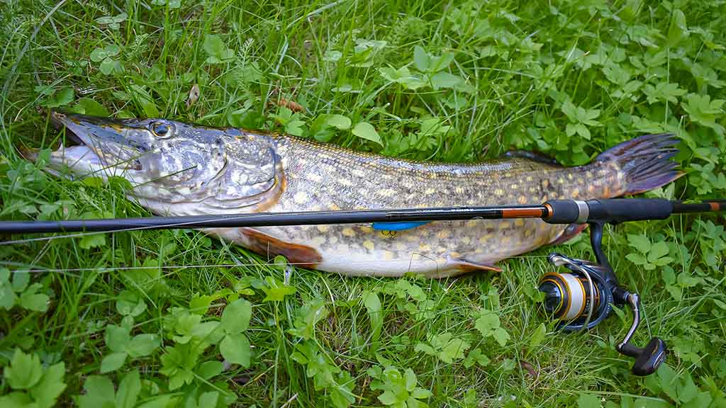 Pakibęs vandens storymėje. Antra dalis Pakibęs vandens storymėje. Antra dalis