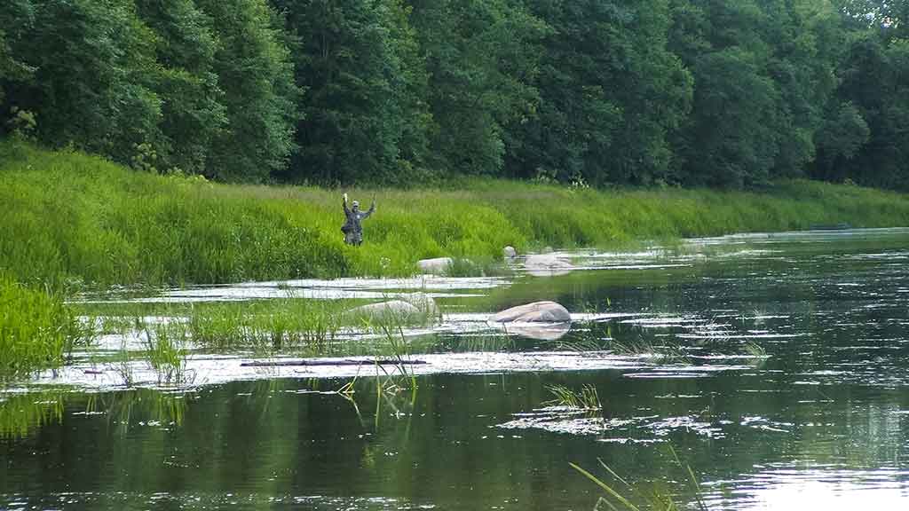 Šapalai mėgsta saulėtą orą