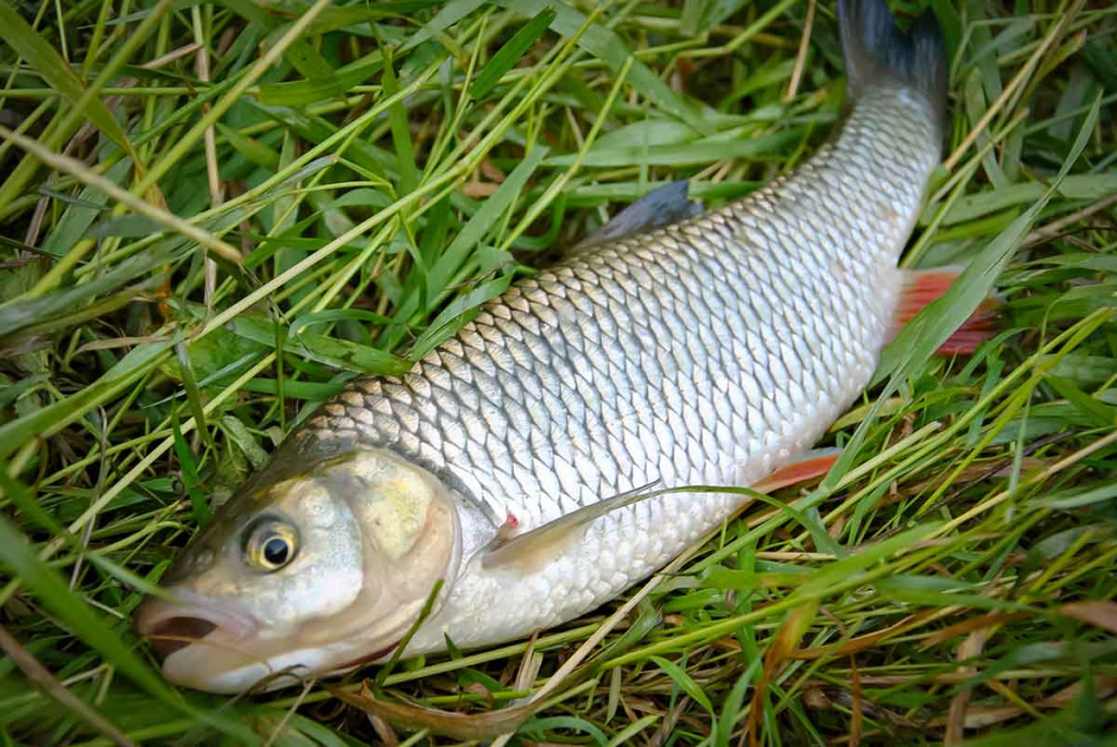 Apie saulę, vėją ir lietų. Antra dalis