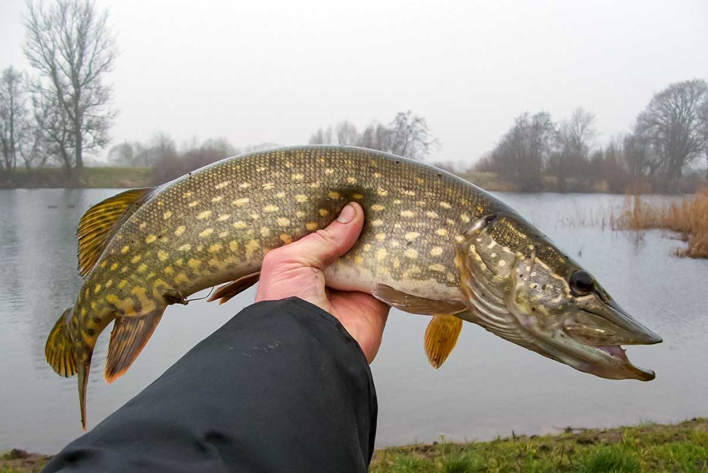 Apie saulę, vėją ir lietų. Antra dalis