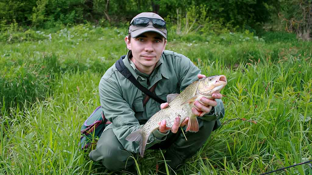 Meknių gaudymas sukriukėmis Meknių gaudymas sukriukėmis